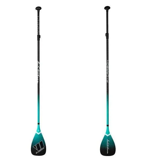 Waterborn Carbon Paddle
