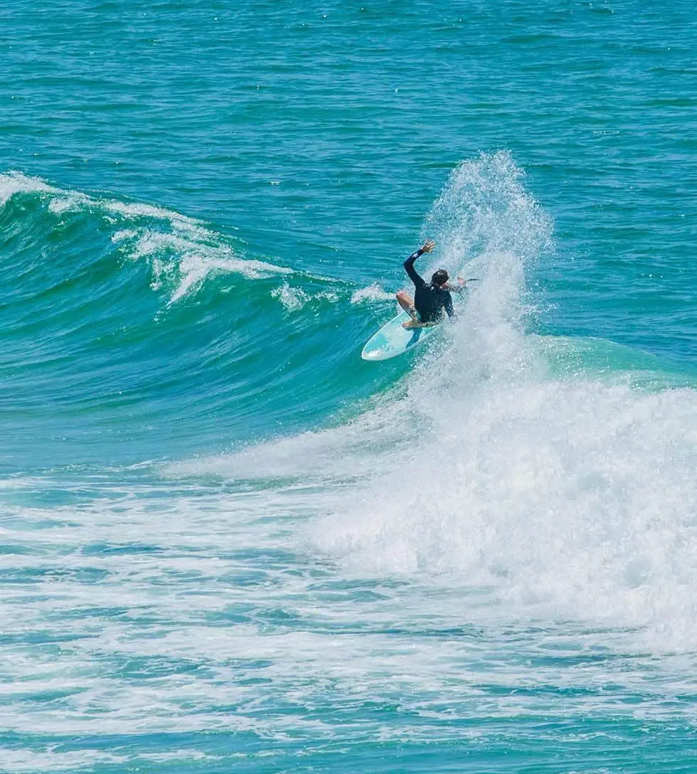 Flying Fish Funboard - Clearskin Surfboard