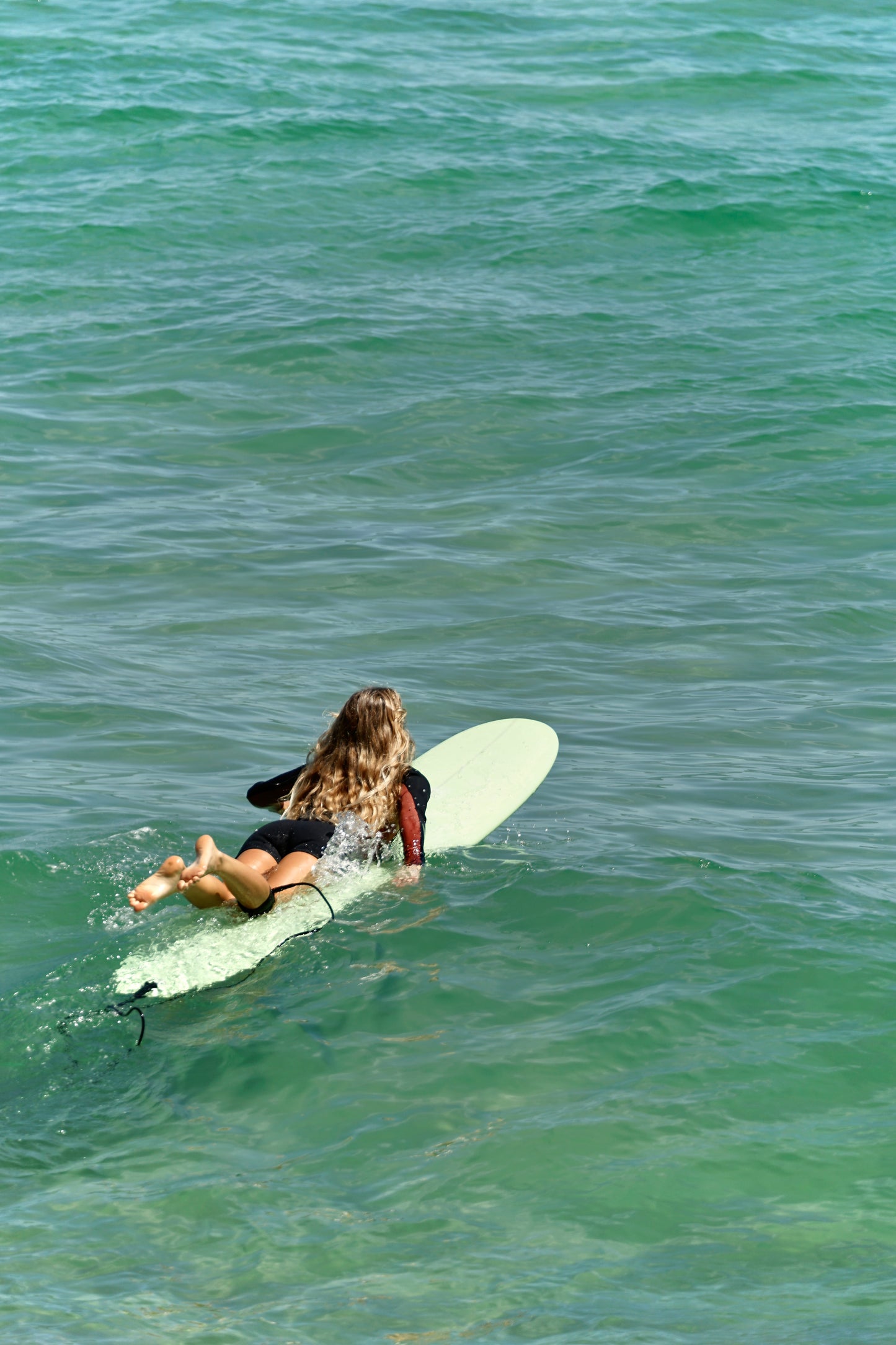 Wild Flower Sunflower - Green Surfboards