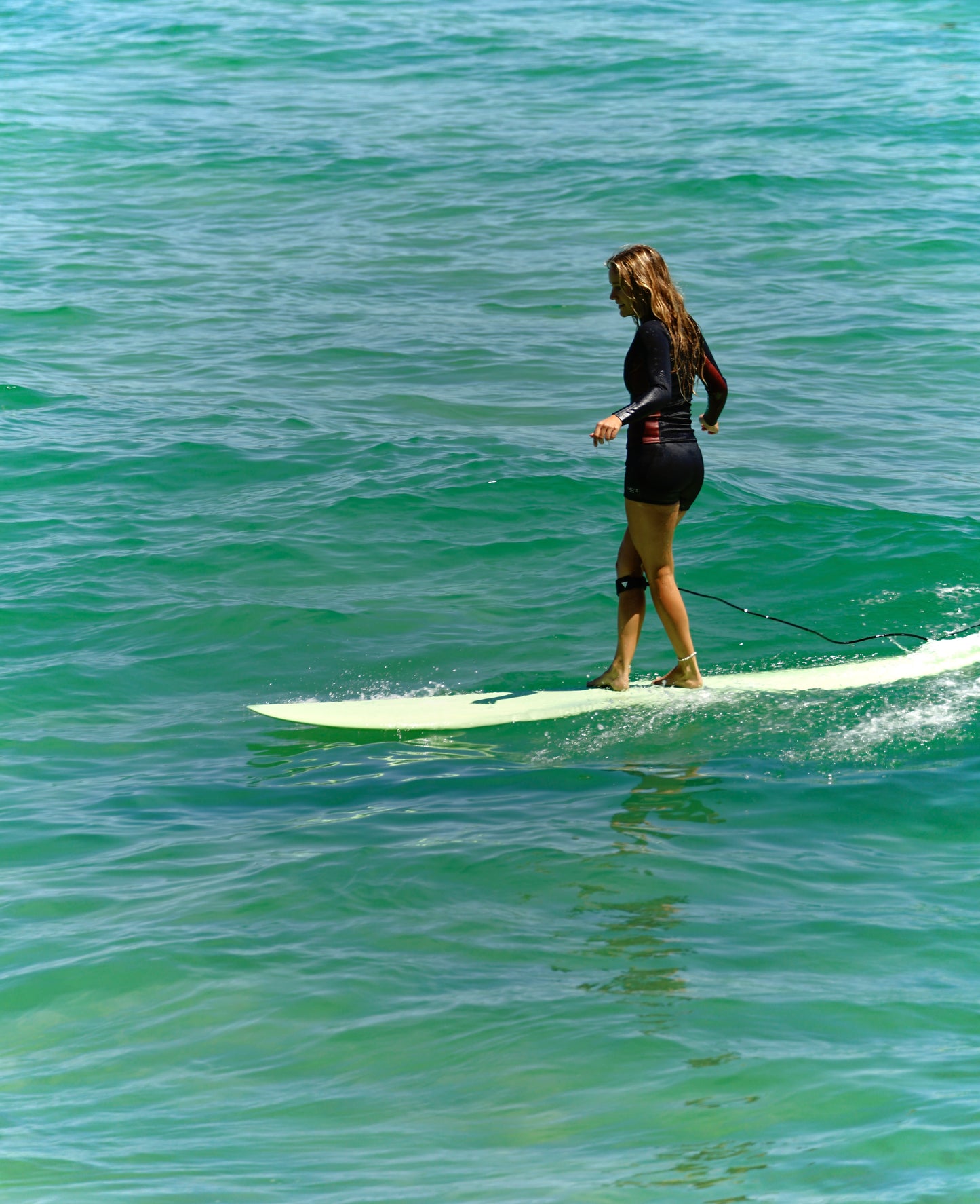 Wild Flower Sunflower - Green Surfboards