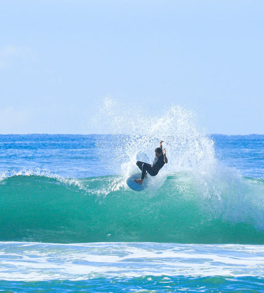 Favourite Dish Vintage Fish By Beau Young - Mint Surfboard
