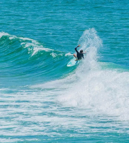 Flying Fish Funboard - Clearskin Surfboard