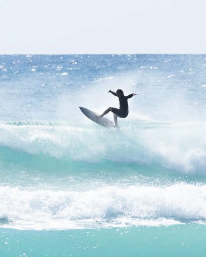 SUNDANCE Performance Fish - Pale Stone Surfboard