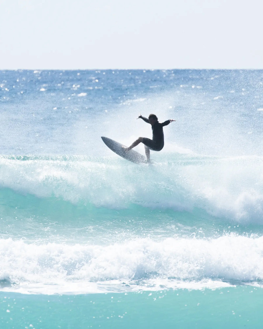 SUNDANCE Performance Fish - Pale Stone Surfboard