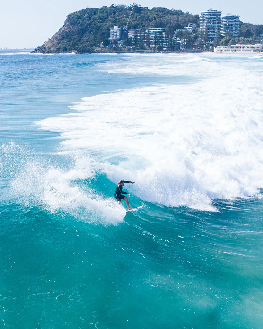 SUNDANCE Performance Fish - Pale Stone Surfboard