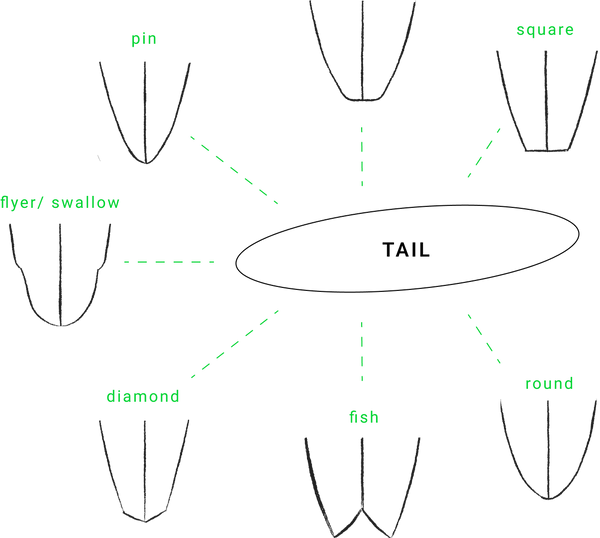 The Surfboard Warehouse NZ