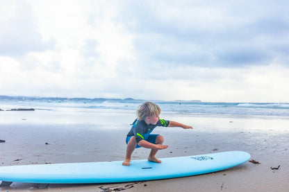 Learn to Surf Bugs Softboard